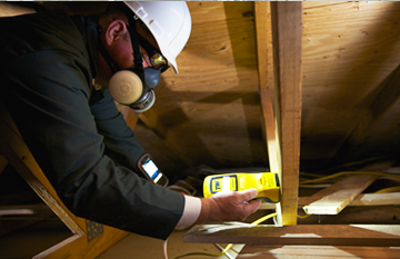 Clear Pest Pros hero image